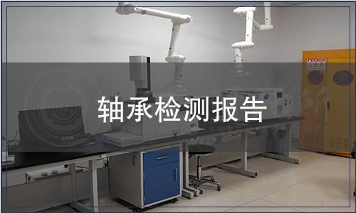 軸承檢測報告 軸承檢測報告