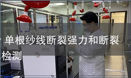 卷裝紗 單根紗線斷裂強力和斷裂伸長率檢測 卷裝紗 單根紗線斷裂強力和斷裂伸長率檢測