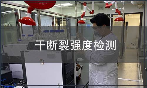 干斷裂強度檢測