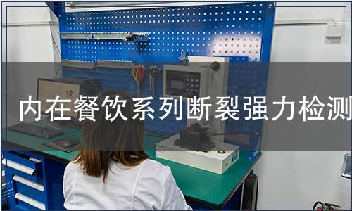 內在餐飲系列斷裂強力檢測