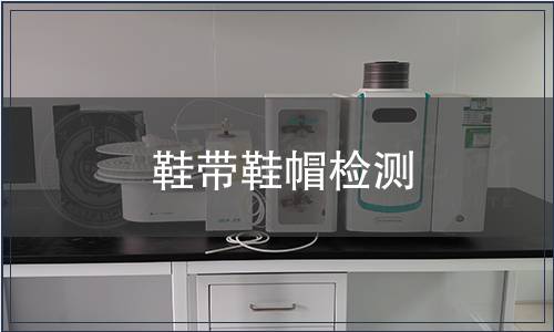 鞋帶鞋帽檢測 鞋帶鞋帽檢測