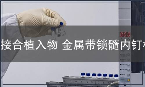 骨接合植入物 金屬帶鎖髓內(nèi)釘檢測