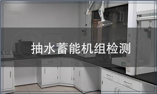 抽水蓄能機組檢測