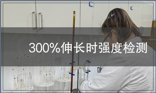 300%伸長(zhǎng)時(shí)強(qiáng)度檢測(cè) 300%伸長(zhǎng)時(shí)強(qiáng)度檢測(cè)
