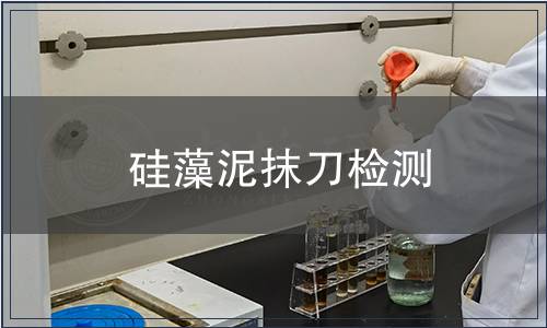 硅藻泥抹刀檢測(cè)