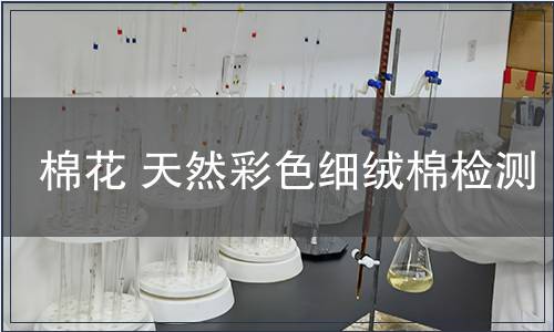 棉花 天然彩色細絨棉檢測