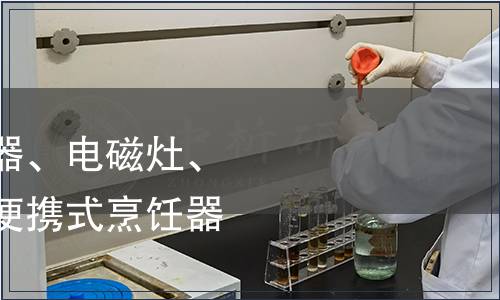 烤架、面包片烘烤器、電磁灶、電烤箱及類似用途便攜式烹飪器具檢測(cè)
