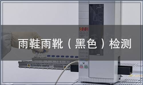 雨鞋雨靴(黑色)檢測 雨鞋雨靴(黑色)檢測