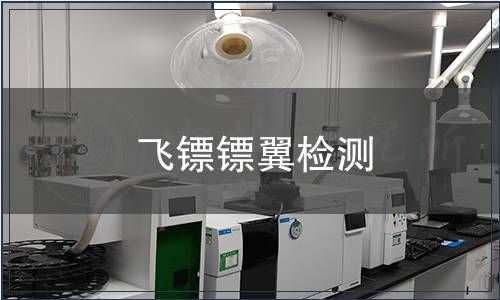 飛鏢鏢翼檢測(cè)