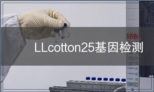 LLcotton25基因檢測(cè) LLcotton25基因檢測(cè)