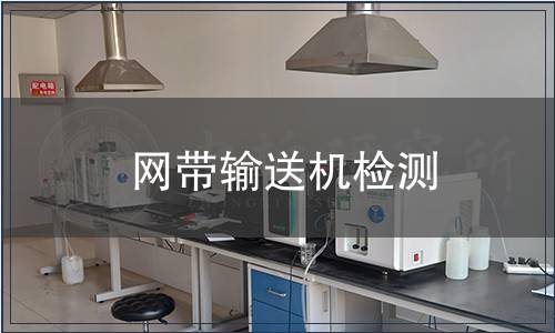 網帶輸送機檢測