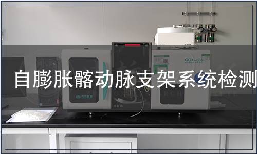 自膨脹髂動(dòng)脈支架系統(tǒng)檢測(cè)