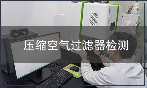 壓縮空氣過濾器檢測(cè)