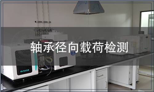 軸承徑向載荷檢測