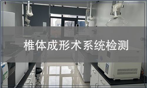 椎體成形術系統(tǒng)檢測