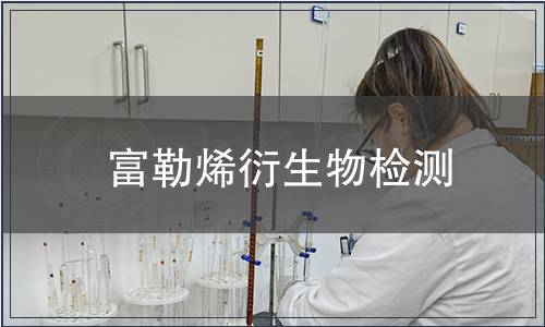 富勒烯衍生物檢測