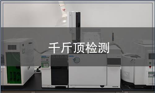 千斤頂檢測(cè)