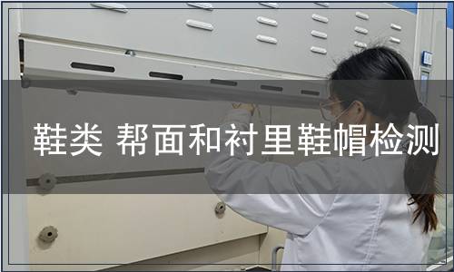 鞋類(lèi) 幫面和襯里鞋帽檢測(cè) 鞋類(lèi) 幫面和襯里鞋帽檢測(cè)