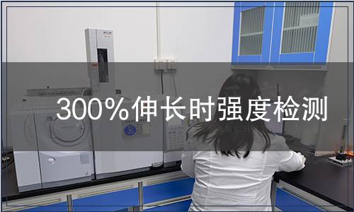 300%伸長(zhǎng)時(shí)強(qiáng)度檢測(cè) 300%伸長(zhǎng)時(shí)強(qiáng)度檢測(cè)