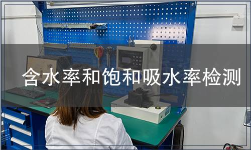 含水率和飽和吸水率檢測