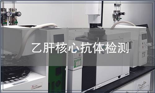 乙肝核心抗體檢測