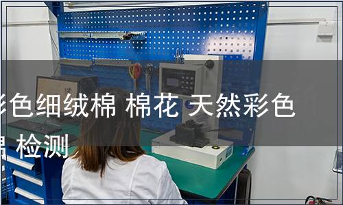 天然彩色細(xì)絨棉 棉花 天然彩色細(xì)絨棉 檢測