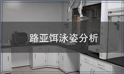 路亞餌泳姿分析