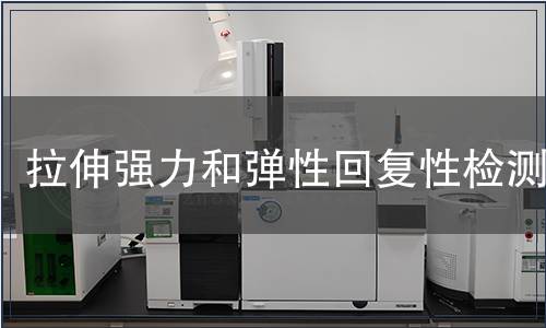 拉伸強力和彈性回復性檢測