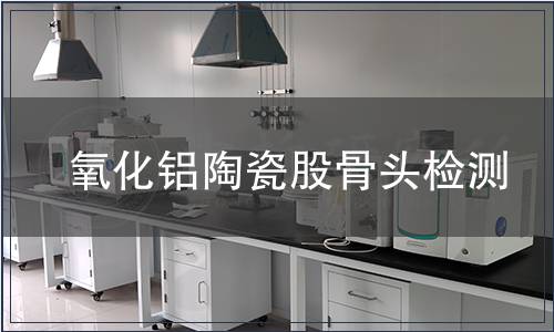 氧化鋁陶瓷股骨頭檢測