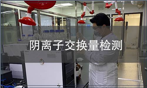 陰離子交換量檢測