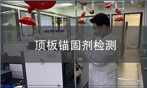 頂板錨固劑檢測