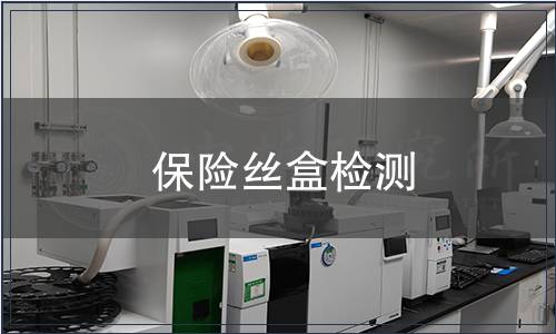 保險(xiǎn)絲盒檢測(cè)