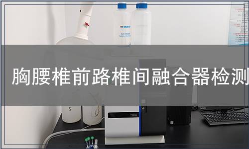 胸腰椎前路椎間融合器檢測