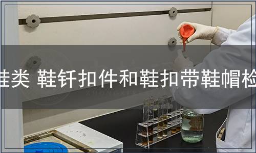 鞋類(lèi) 鞋釬扣件和鞋扣帶鞋帽檢測(cè) 鞋類(lèi) 鞋釬扣件和鞋扣帶鞋帽檢測(cè)