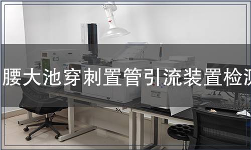 腰大池穿刺置管引流裝置檢測