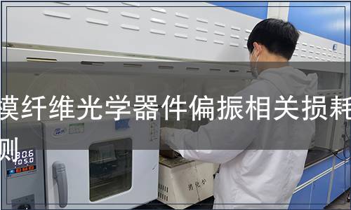 單模纖維光學器件偏振相關損耗檢測 單模纖維光學器件偏振相關損耗檢測
