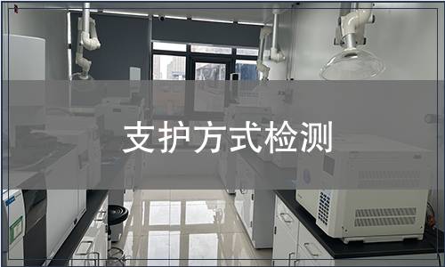 支護(hù)方式檢測(cè)