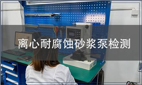 離心耐腐蝕砂漿泵檢測