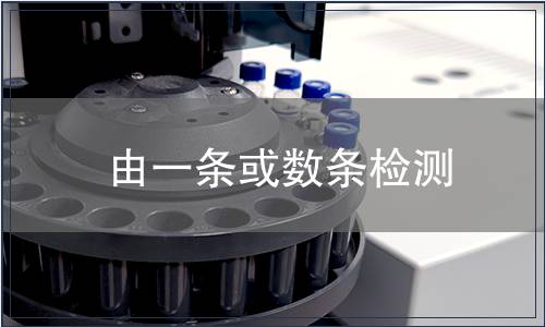 由一條或數條檢測