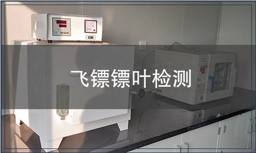 飛鏢鏢葉檢測(cè)