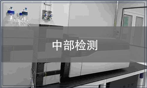 中部檢測