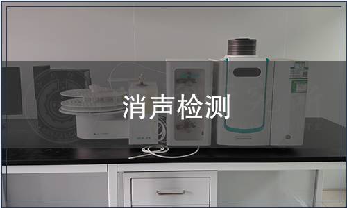 消聲檢測