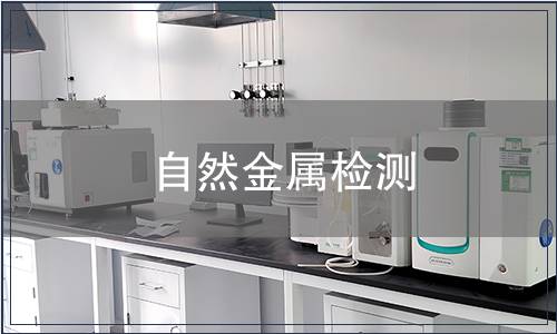 自然金屬檢測