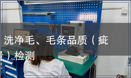 分級(jí)毛、洗凈毛、毛條品質(zhì)(疵點(diǎn)、重量)檢測(cè) 分級(jí)毛、洗凈毛、毛條品質(zhì)(疵點(diǎn)、重量)檢測(cè)