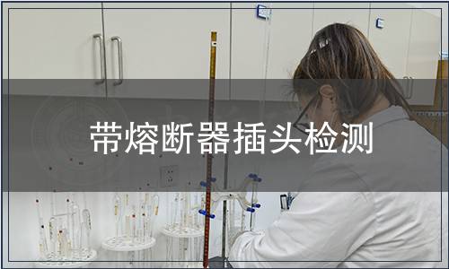 帶熔斷器插頭檢測(cè)