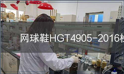 網(wǎng)球鞋HGT4905-2016檢測(cè)