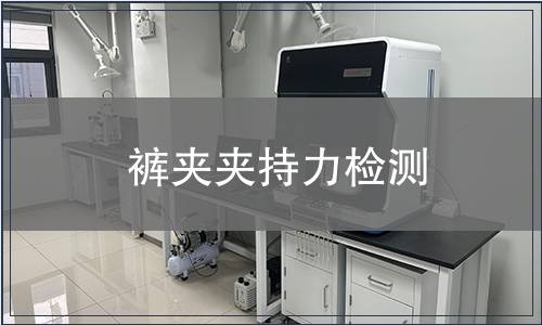 褲夾夾持力檢測(cè)