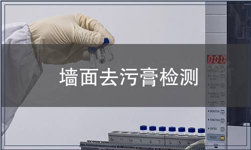 墻面去污膏檢測