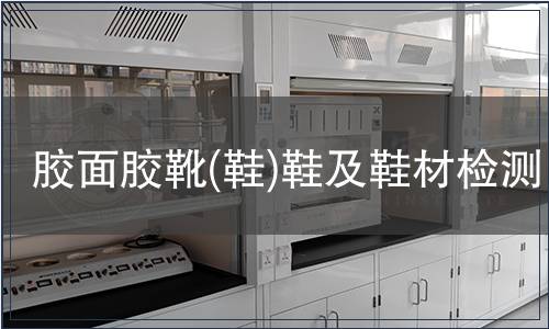 膠面膠靴(鞋)鞋及鞋材檢測(cè)