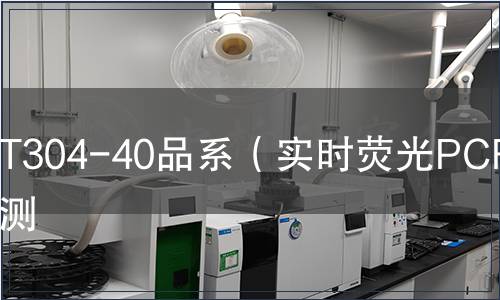 T304-40品系(實時熒光PCR)檢測 T304-40品系(實時熒光PCR)檢測